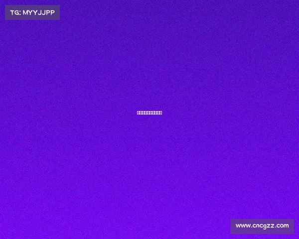 全运会女排青年组赛况